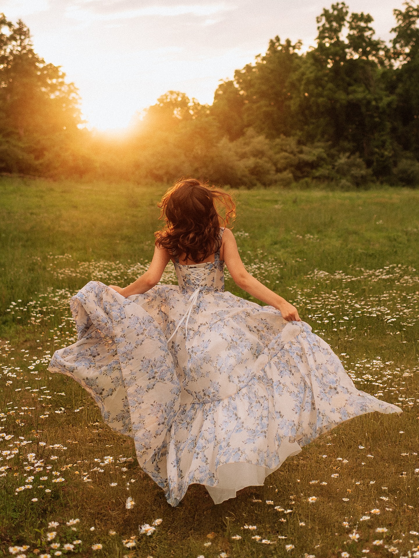 Editorial collection